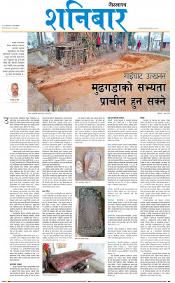 newspaper