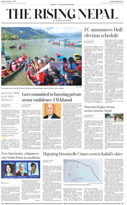 newspaper