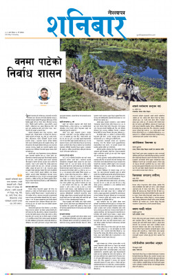 newspaper