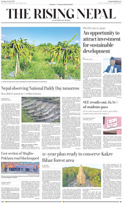 newspaper