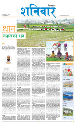 newspaper