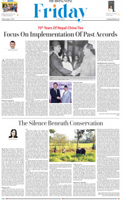 newspaper