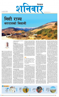 newspaper