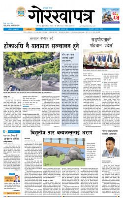 newspaper