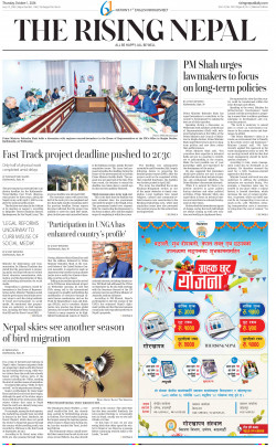newspaper