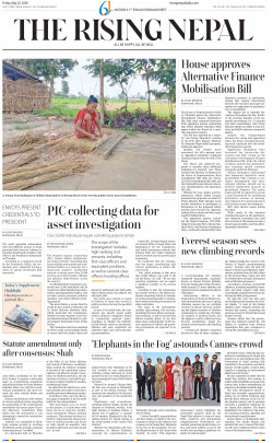newspaper