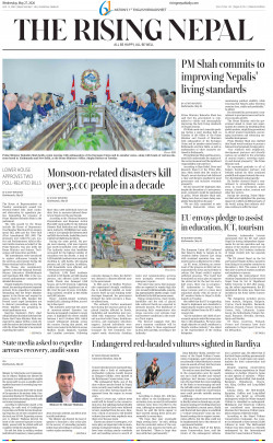 newspaper
