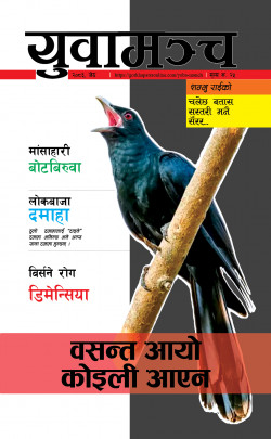newspaper