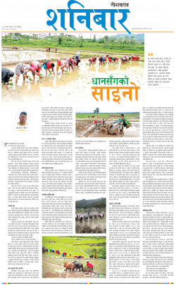 newspaper