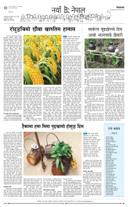 newspaper