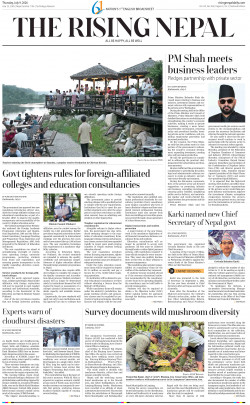 newspaper