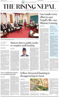 newspaper