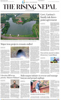 newspaper