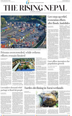 newspaper